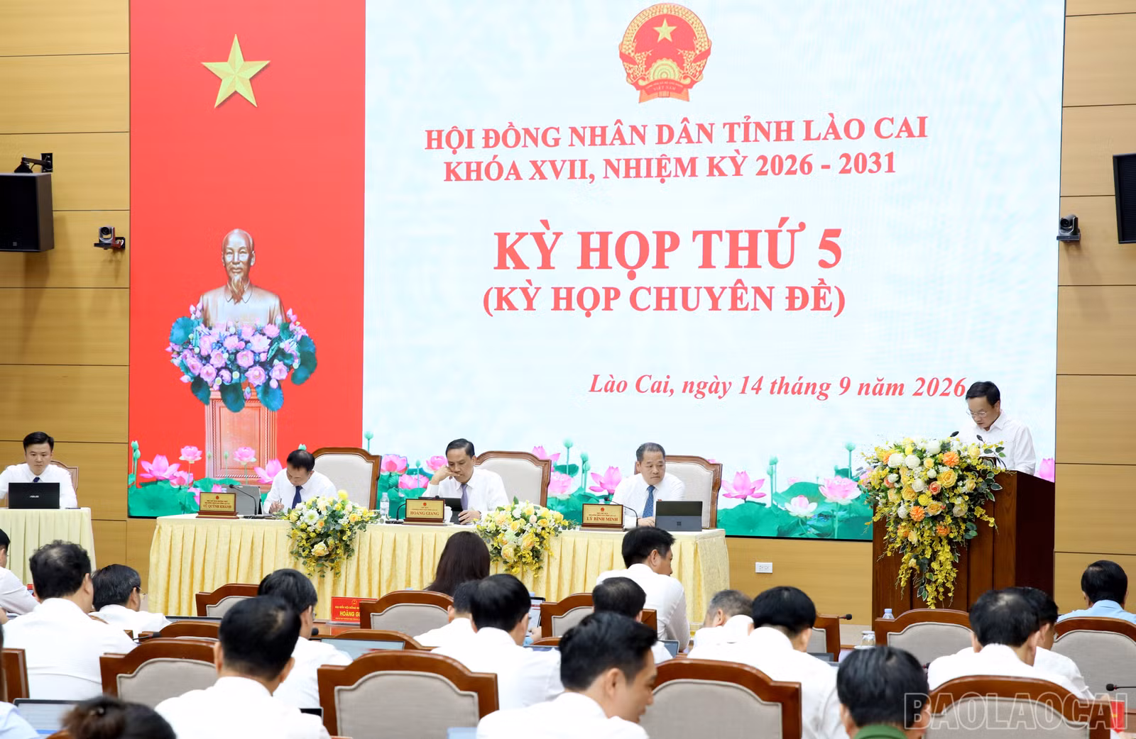 baolaocai-br_4y3a3643.jpg