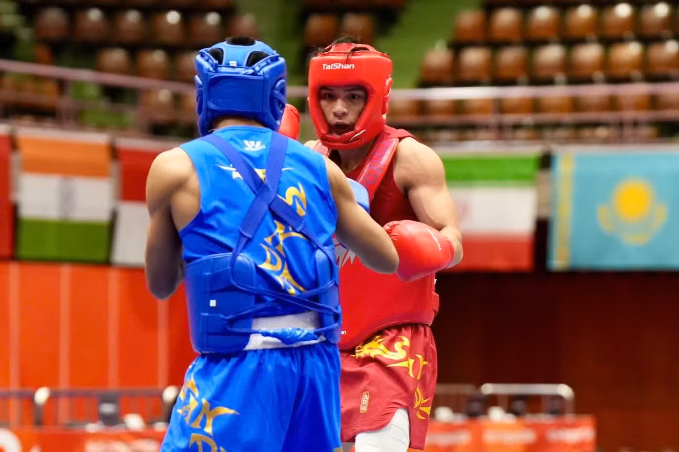 Võ sỹ Đinh Văn Tâm tranh HCV môn wushu.