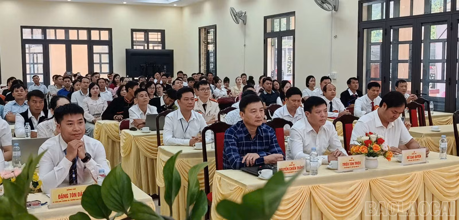 baolaocai-br_24.jpg