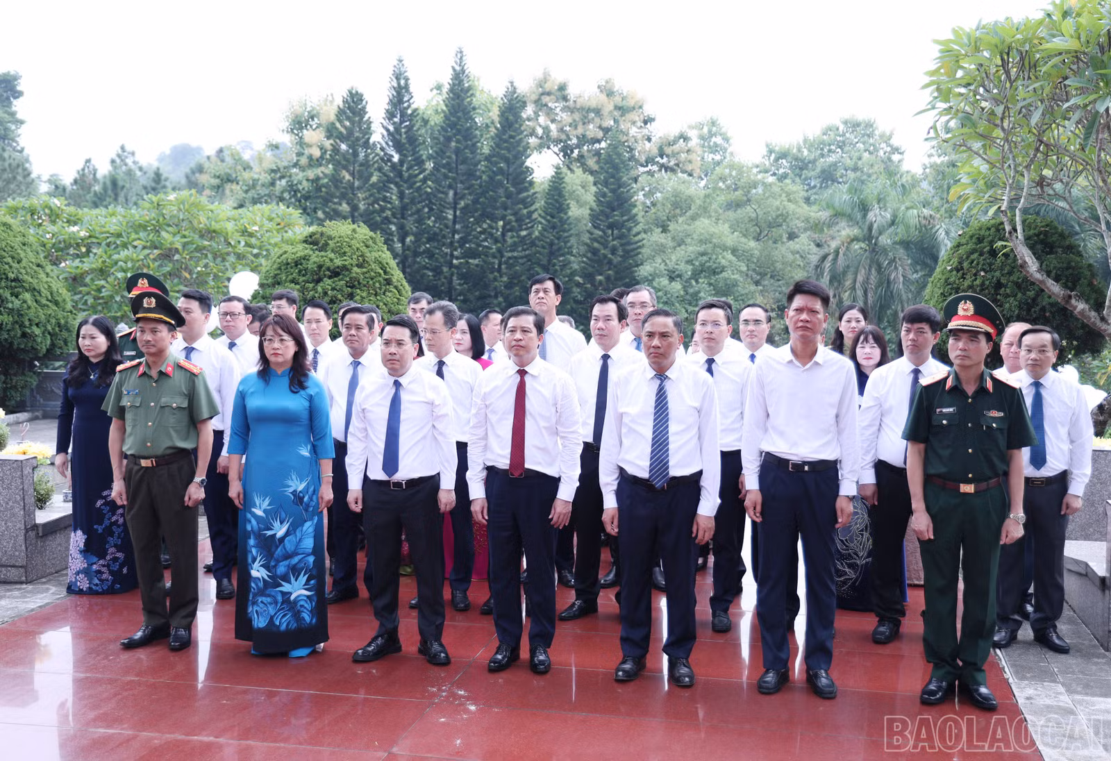 baolaocai-br_img-4271.jpg