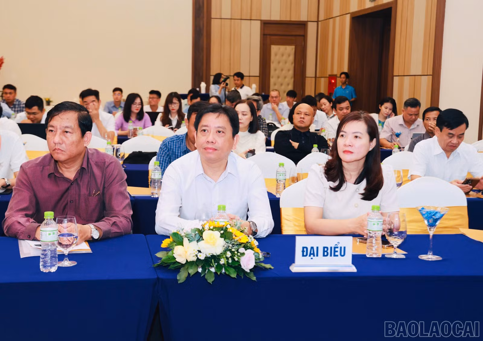 baolaocai-br_113.jpg