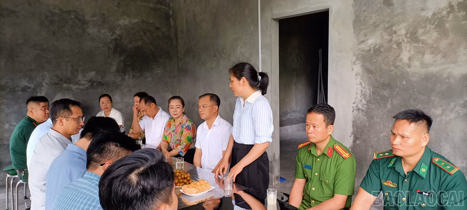 baolaocai-br_tt4.jpg
