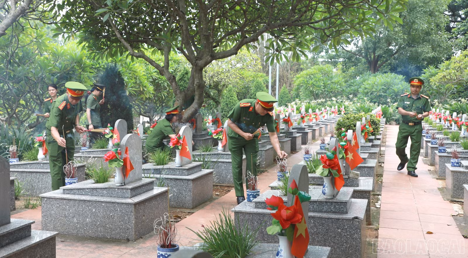baolaocai-br_anh9.jpg