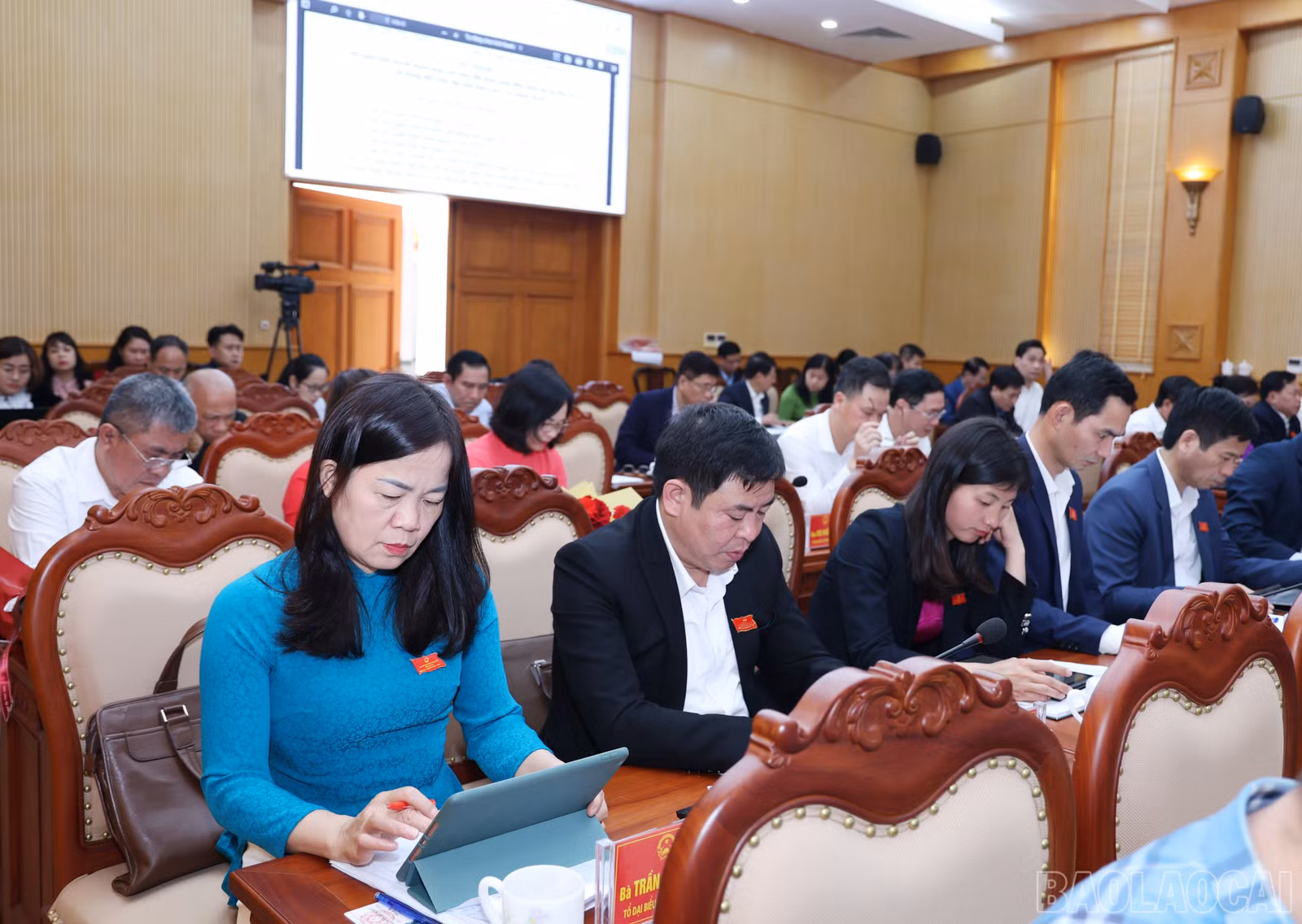 baolaocai-br_1386.jpg
