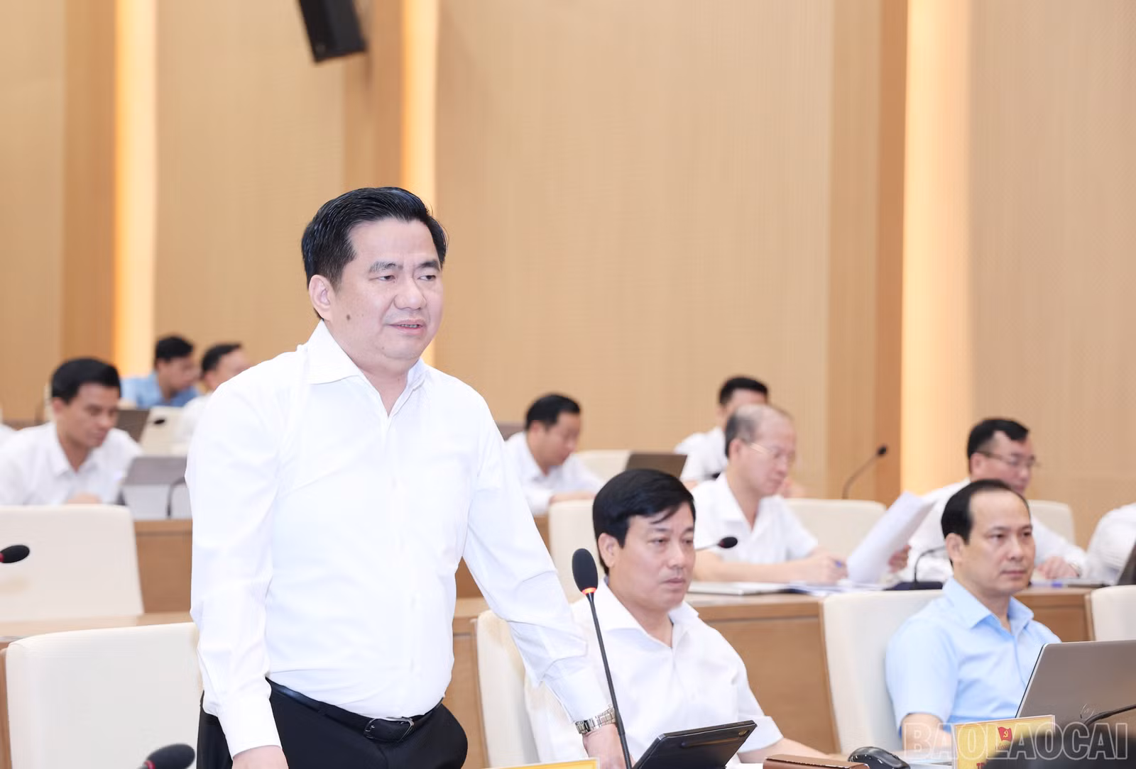 baolaocai-br_img-1421.jpg