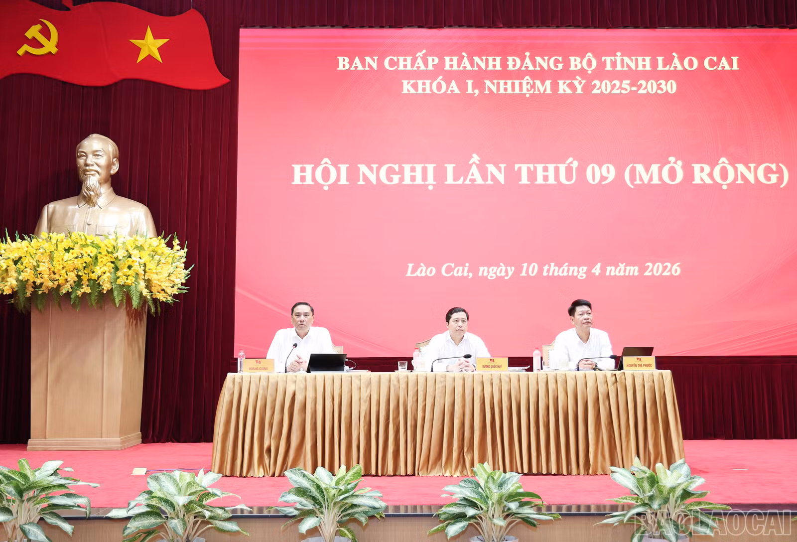 baolaocai-br_img-1510.jpg