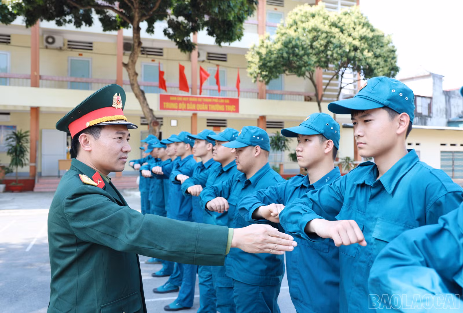 baolaocai-br_06.jpg