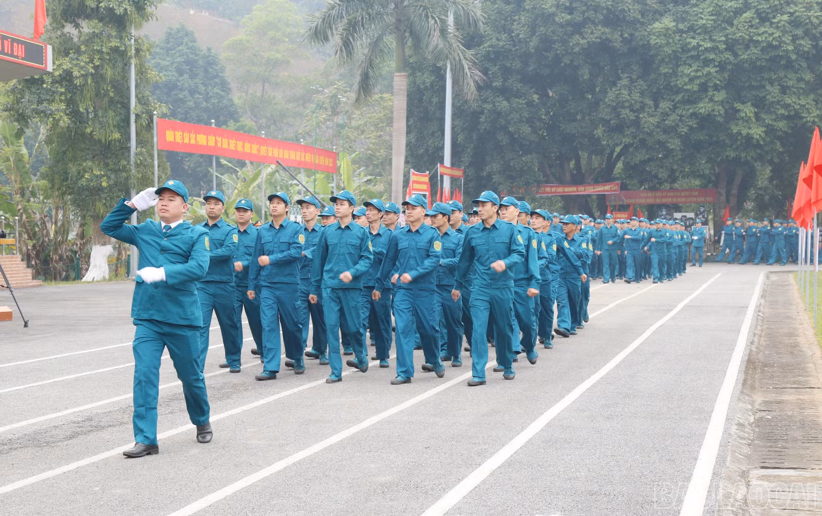baolaocai-br_11.jpg