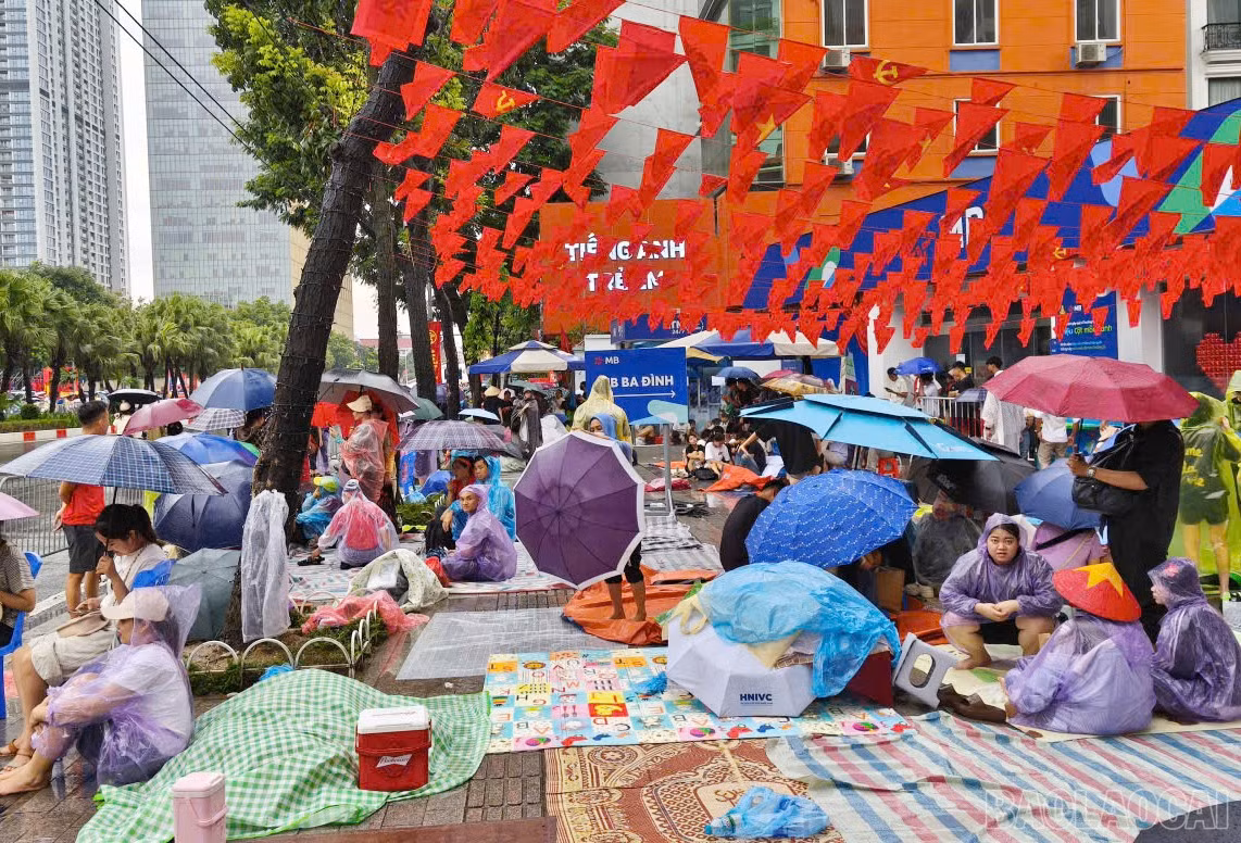 baolaocai-br_1-7889.jpg
