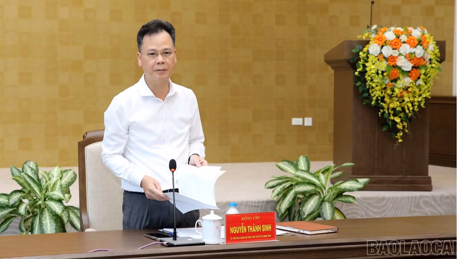 baolaocai-br_31-10-ong-sinh2.jpg