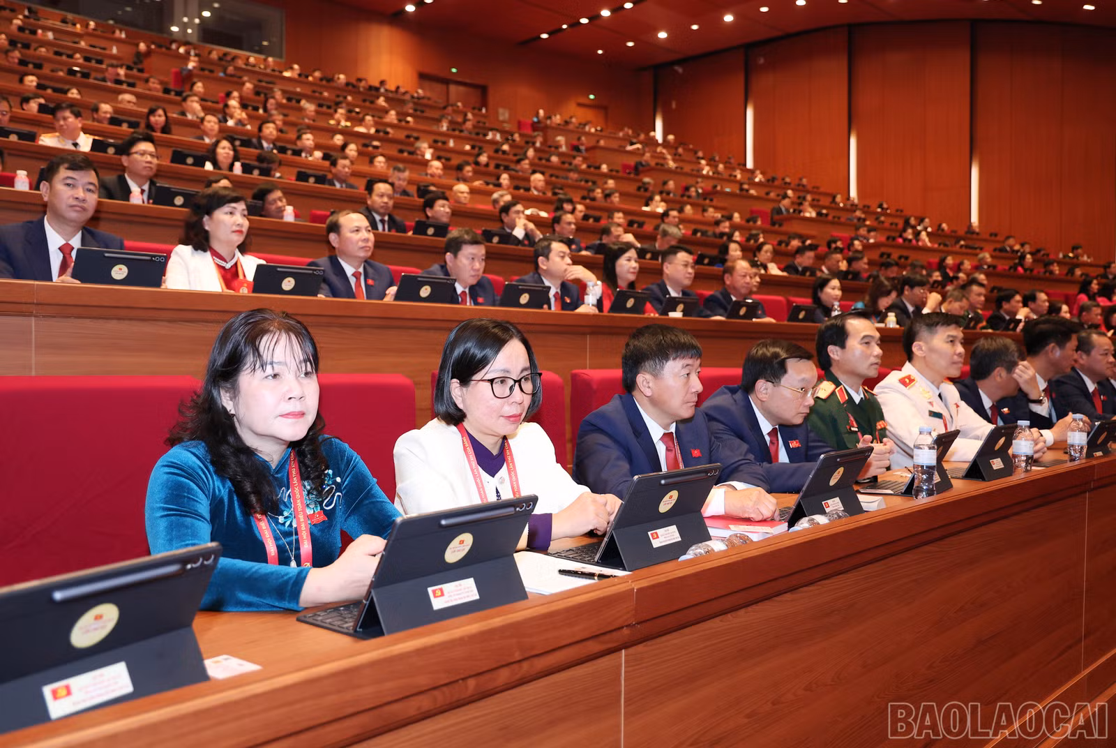 baolaocai-br_img-6681.jpg