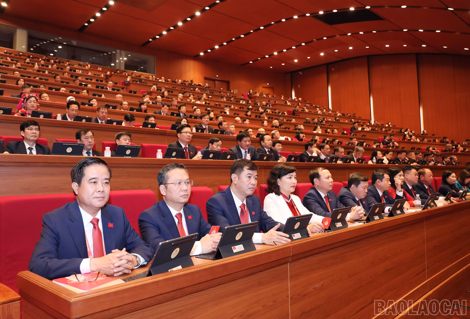 baolaocai-br_img-6693.jpg