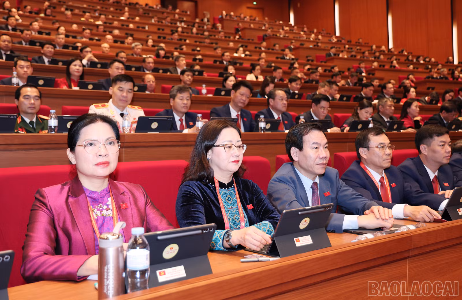 baolaocai-br_img-6629.jpg