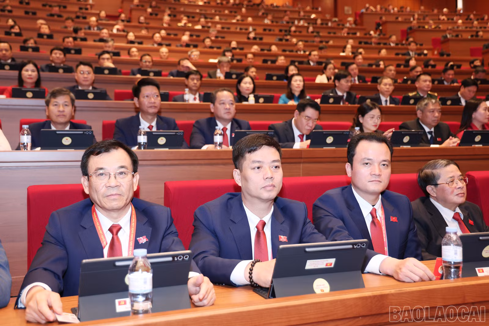 baolaocai-br_img-6654.jpg