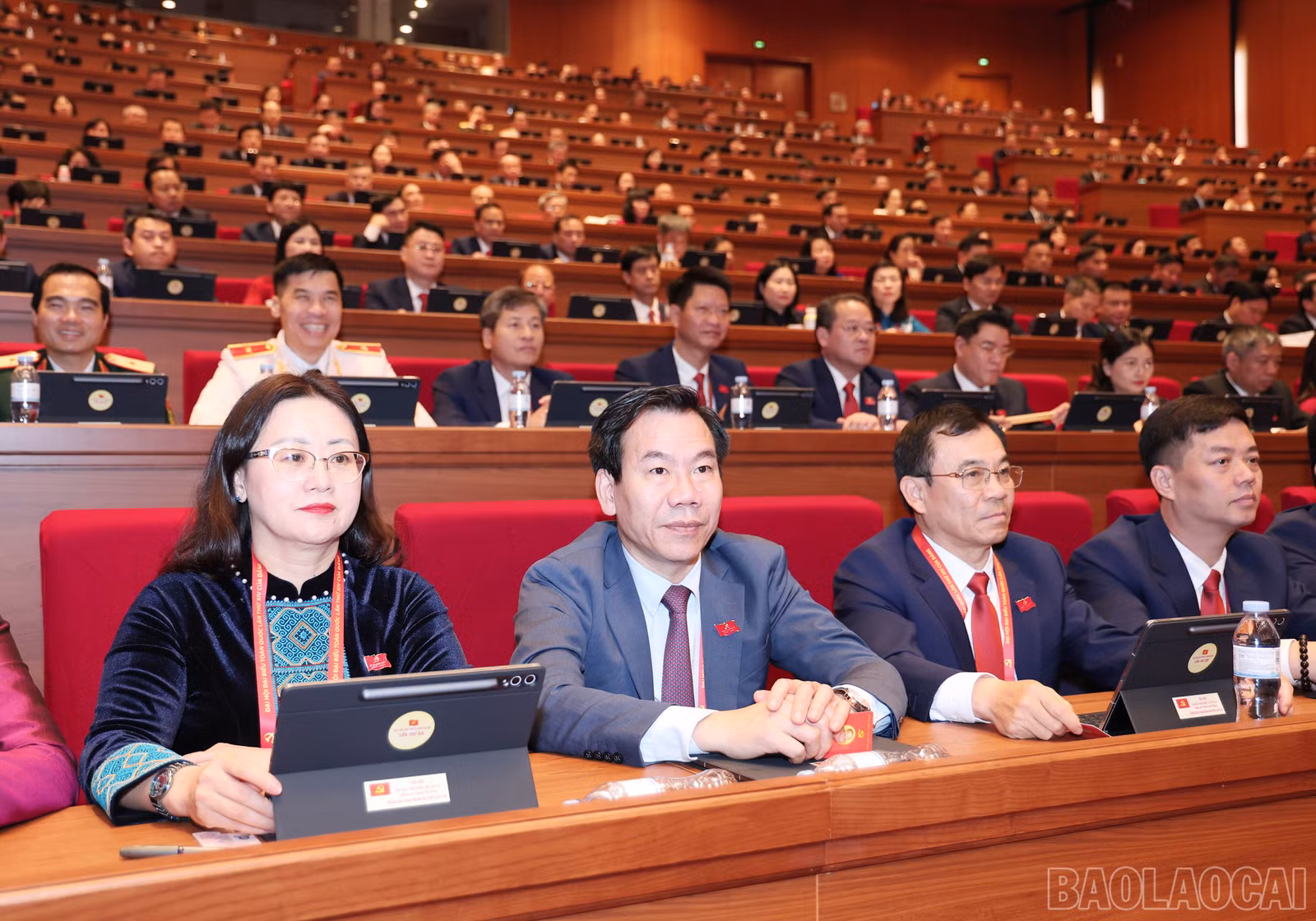 baolaocai-br_img-6650.jpg