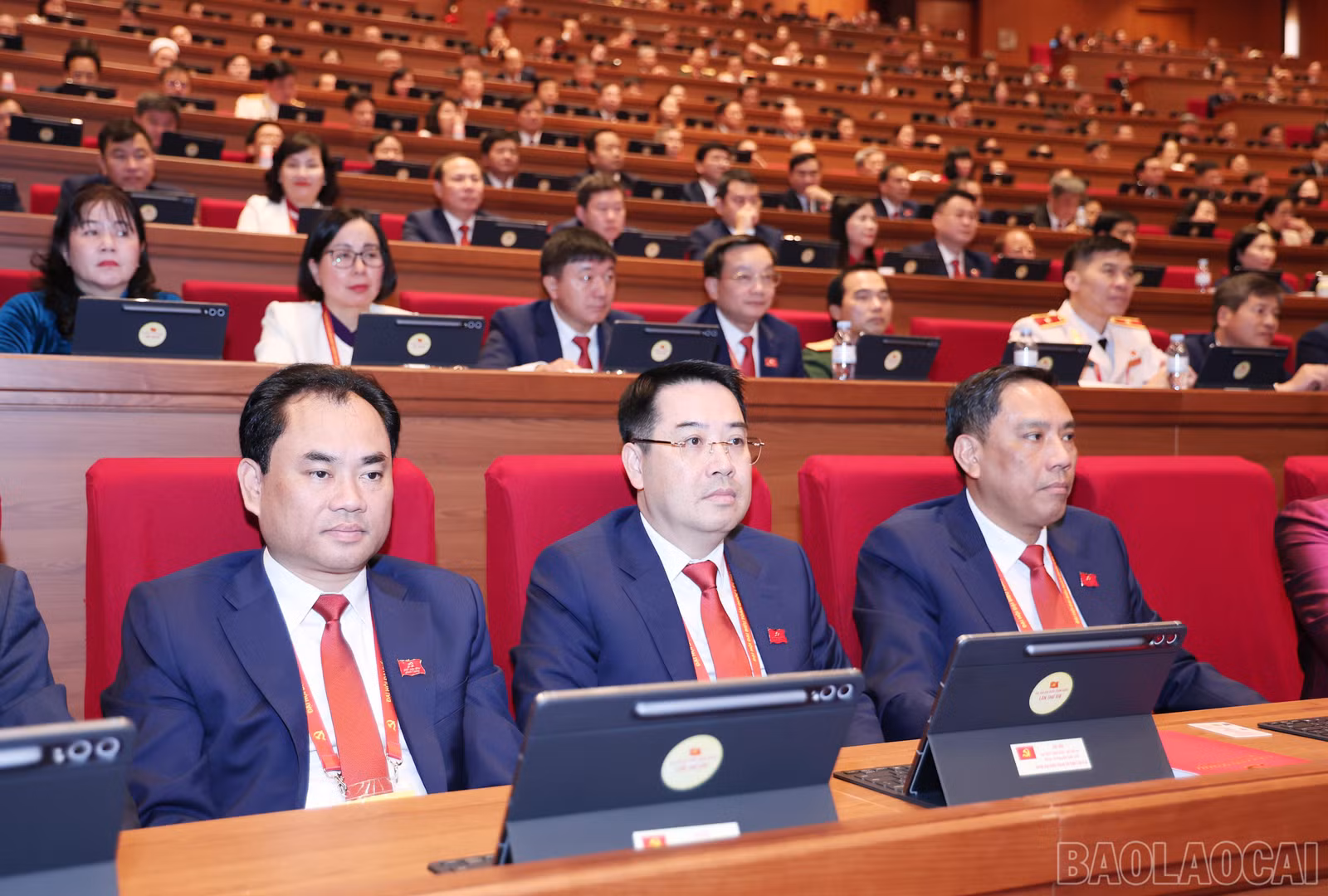 baolaocai-br_img-6600.jpg