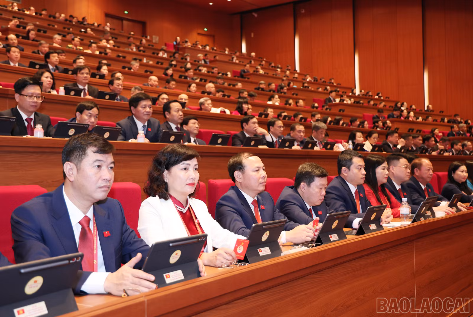 baolaocai-br_img-6702.jpg
