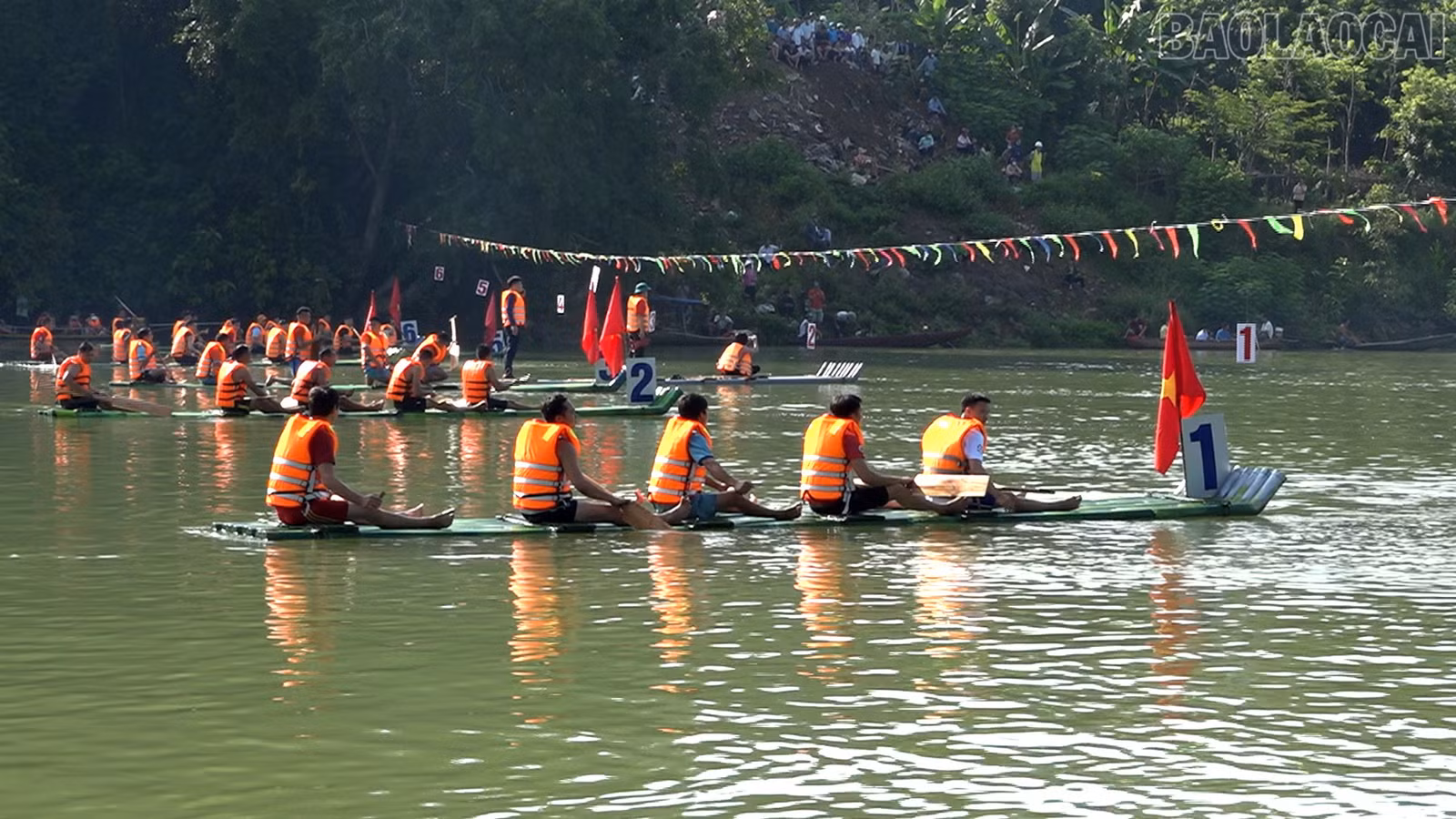 baolaocai-tr_2-4-dua-mang1.jpg