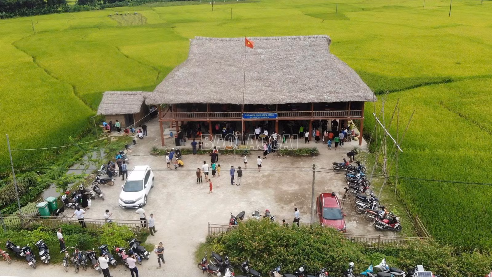 baolaocai-c_quangcanh.jpg