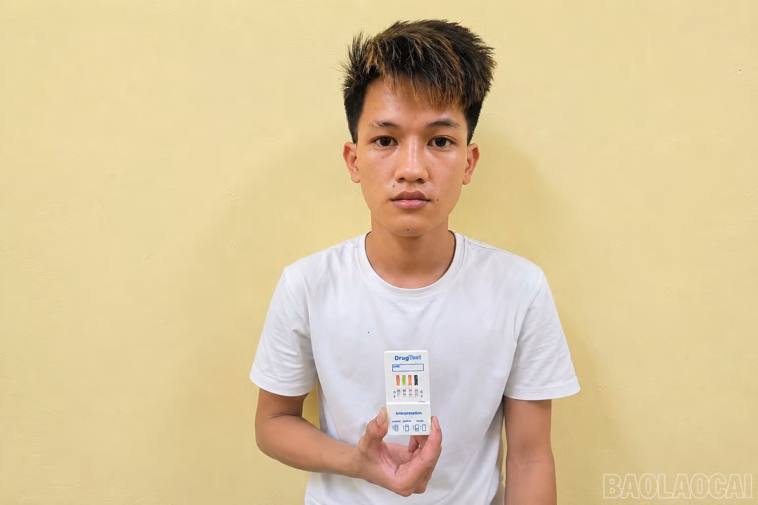 baolaocai-br_anh-1-1.png