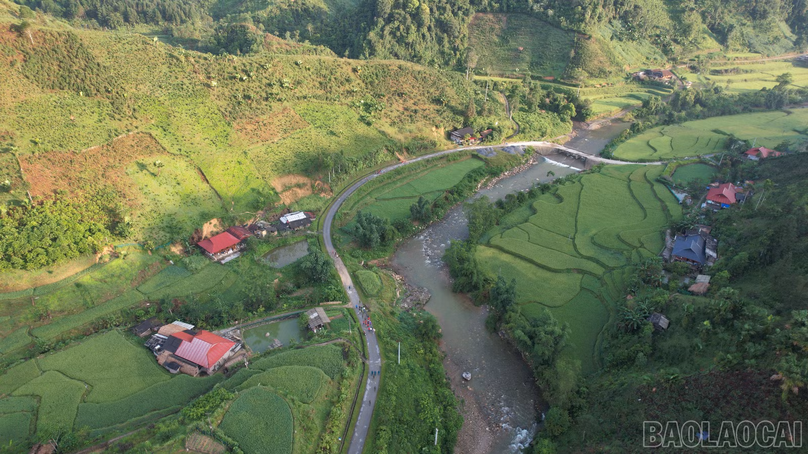 baolaocai-br_dji-0100.jpg