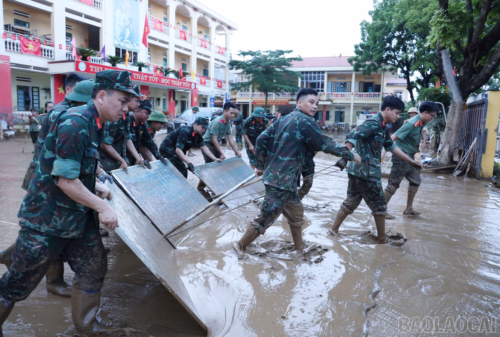 baolaocai-br_img-3992.jpg