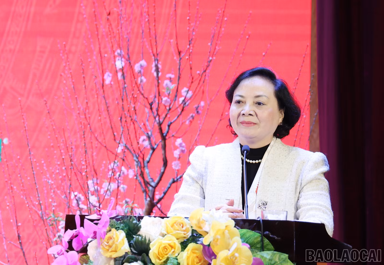 baolaocai-br_img-9640.jpg