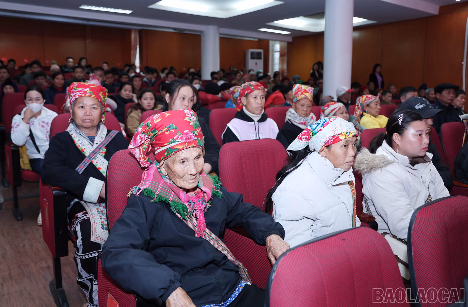 baolaocai-br_img-9620.jpg
