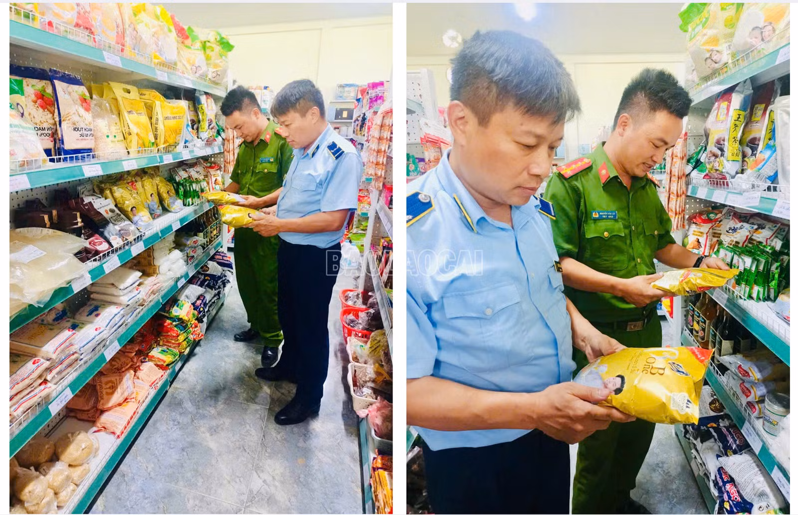 baolaocai-c_anh-2-1.png