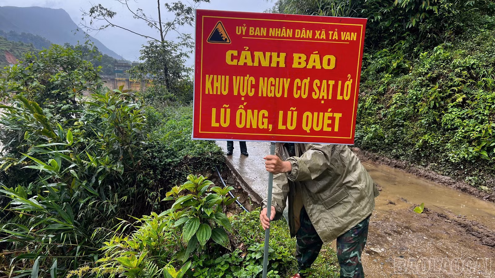baolaocai-br_777.jpg