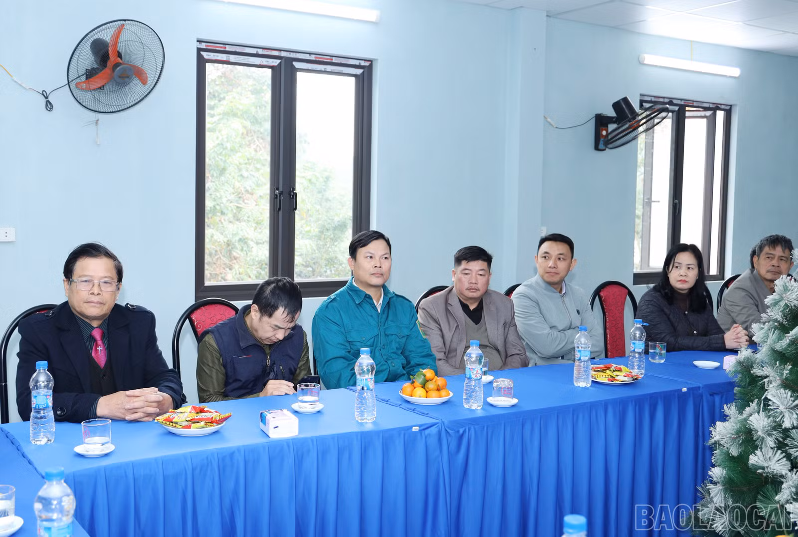 baolaocai-br_7633.jpg