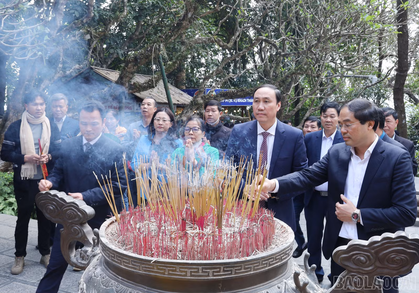 baolaocai-br_9523.jpg