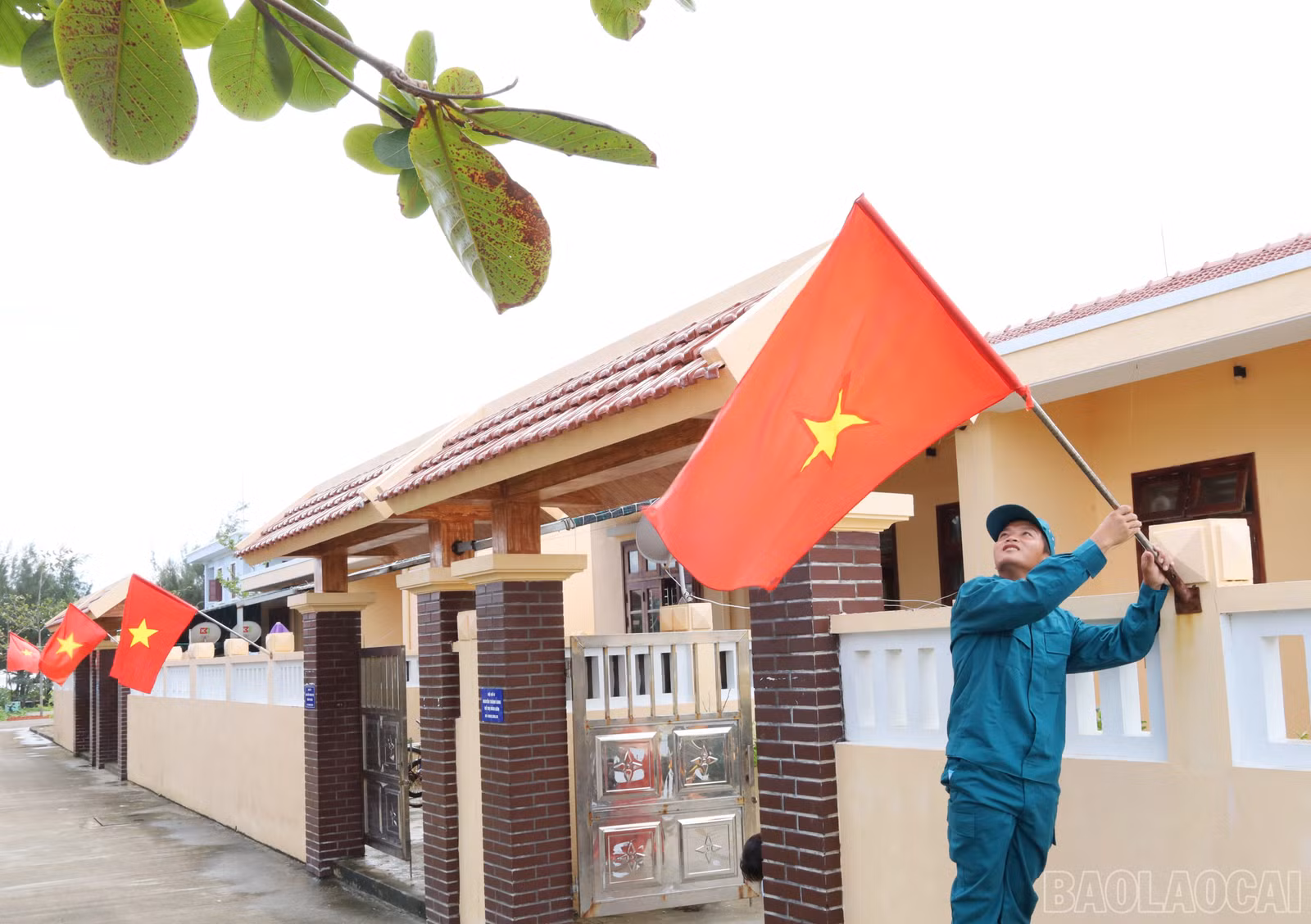 baolaocai-br_9991.jpg