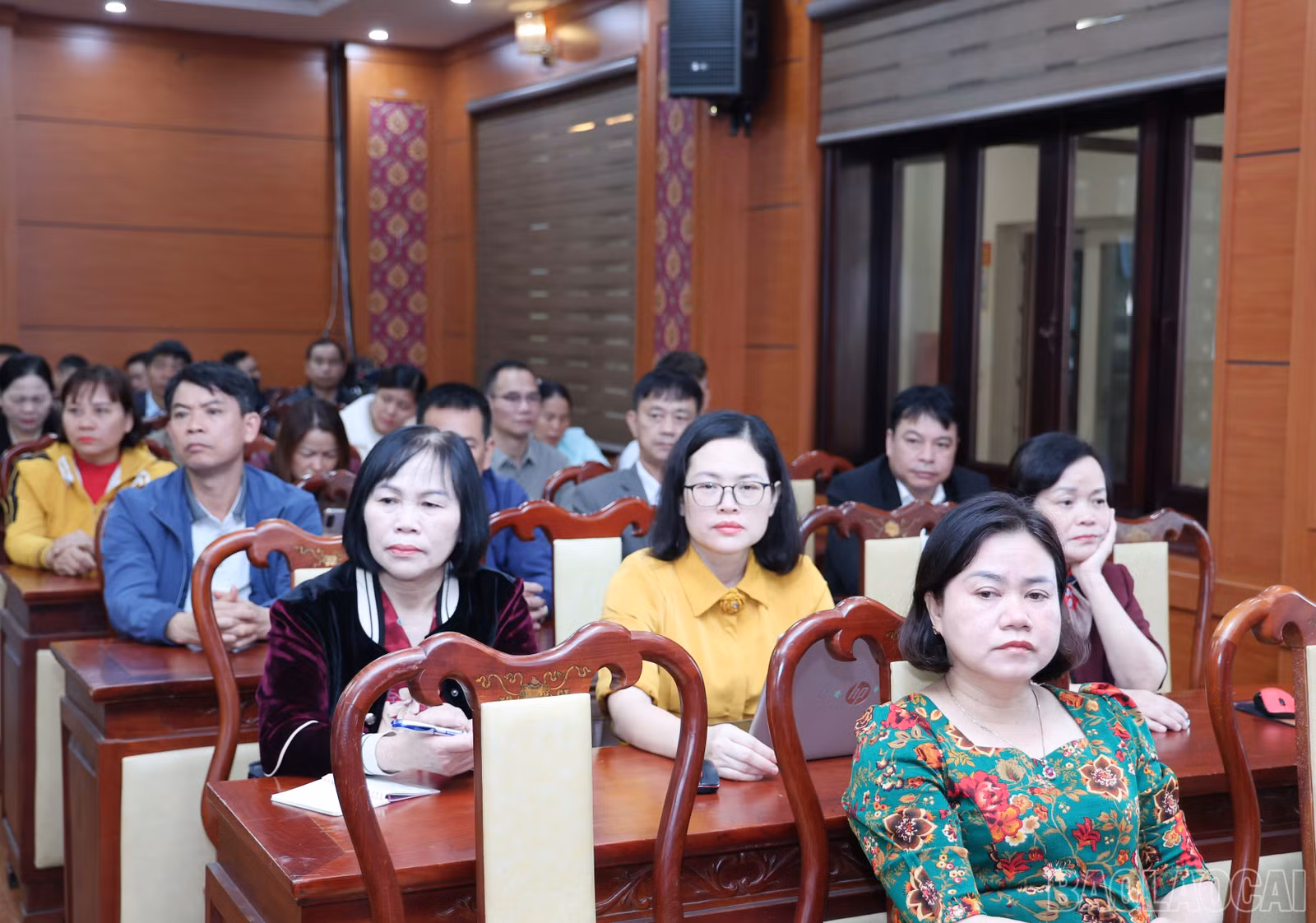 baolaocai-br_img-0802.jpg