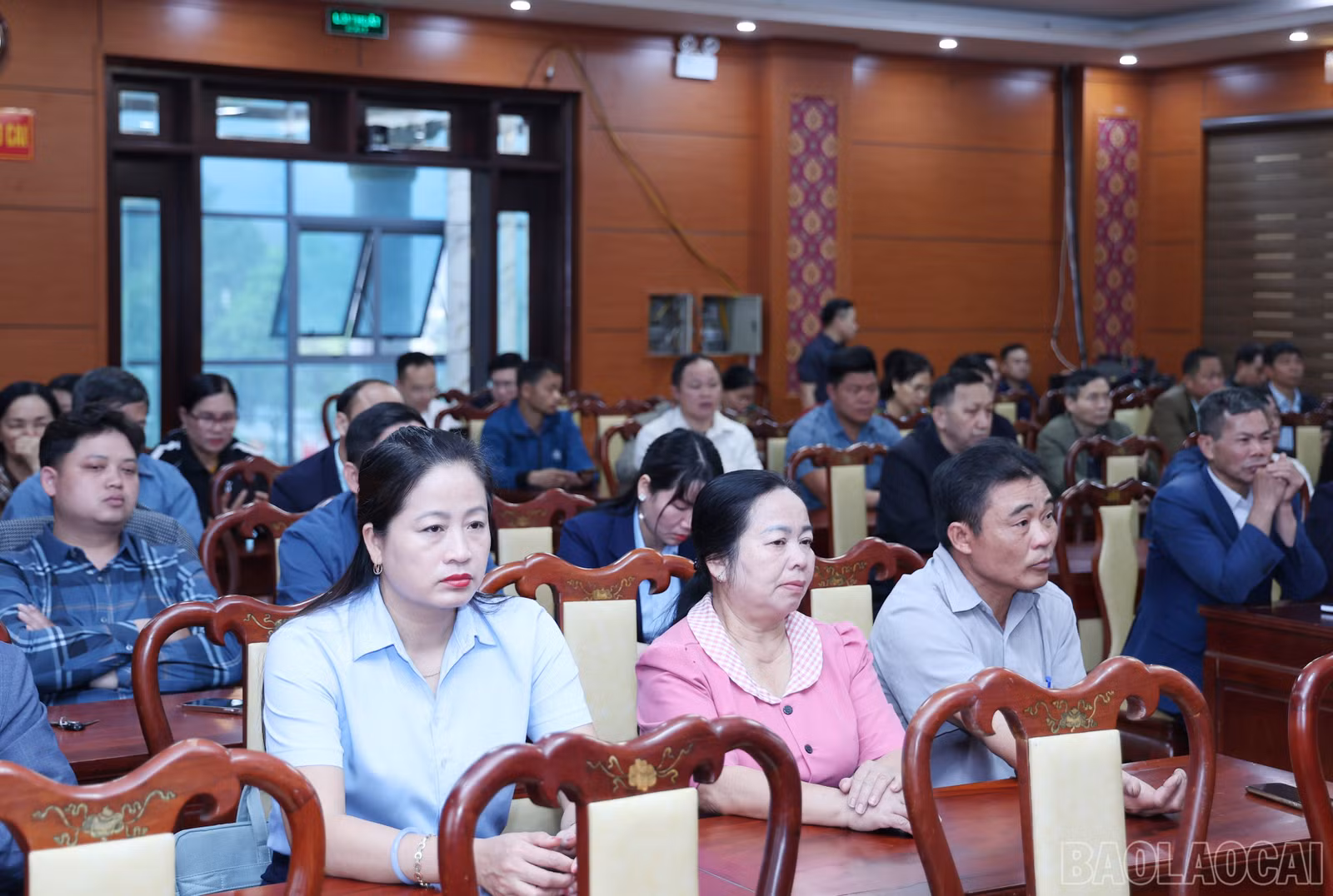 baolaocai-br_img-0729.jpg