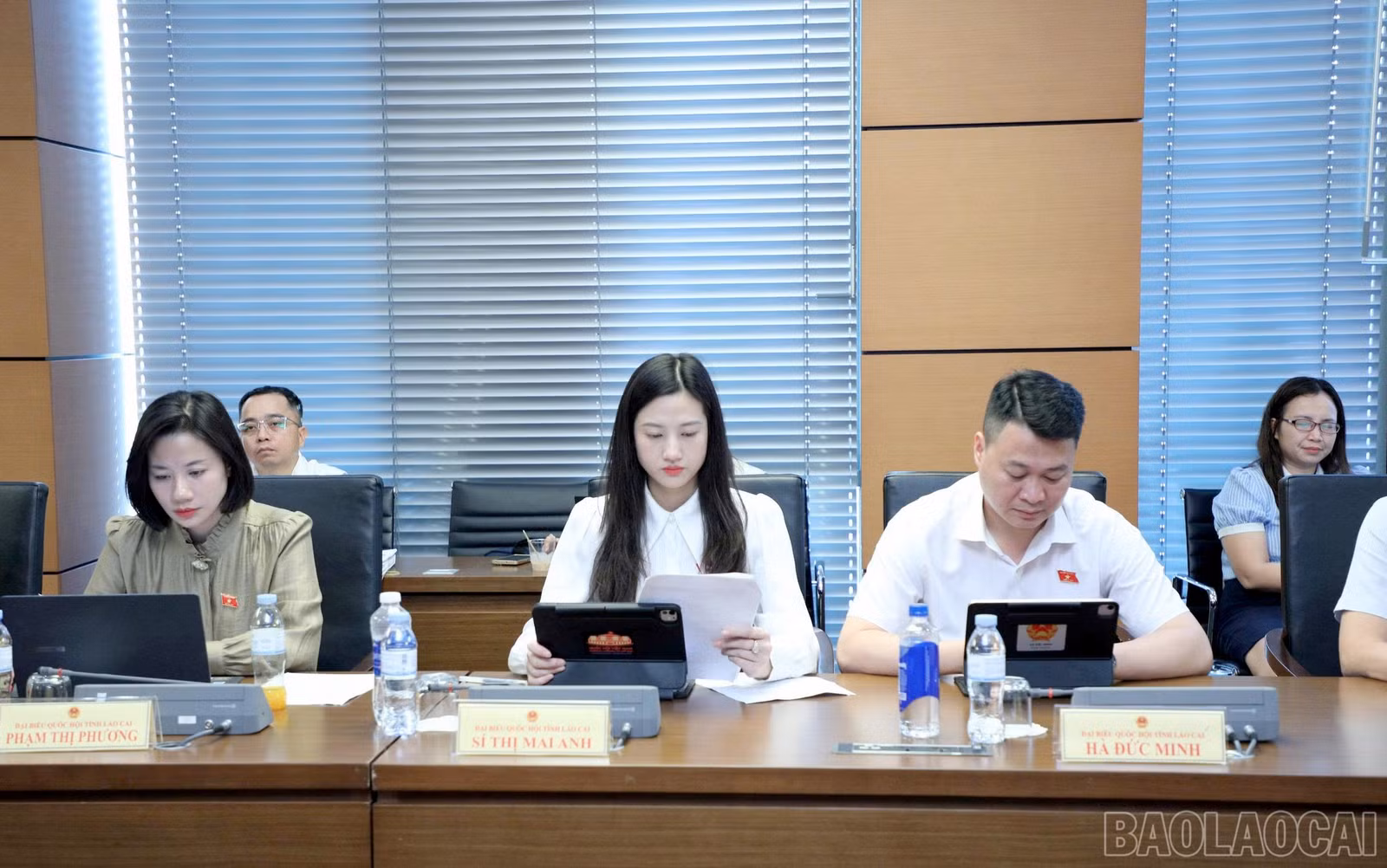 baolaocai-br_1792492182725-1583398800109639730-467038077419162032-cdca067c7f42c6661f82ca2342cb6271.jpg