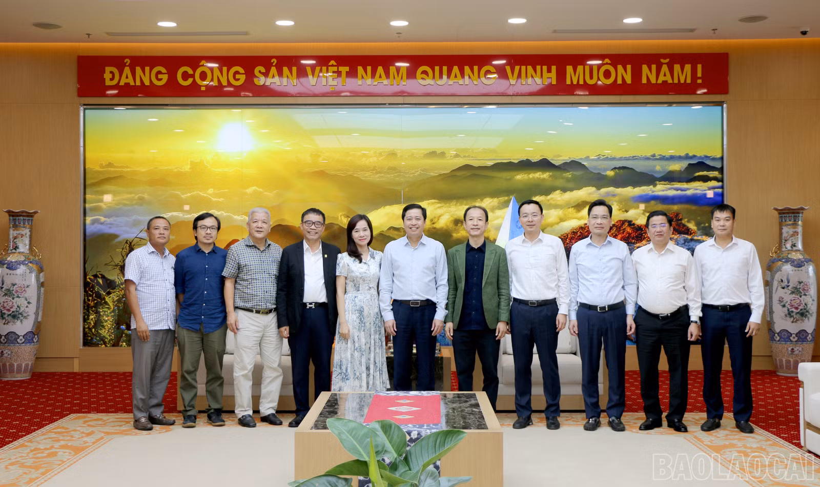 baolaocai-br_img-0586.jpg