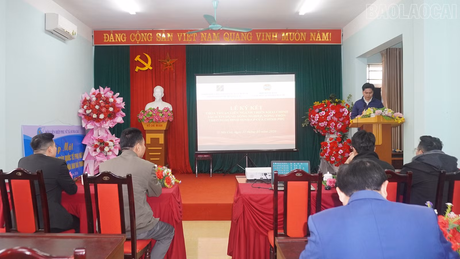 baolaocai-tr_11-3-si1.jpg