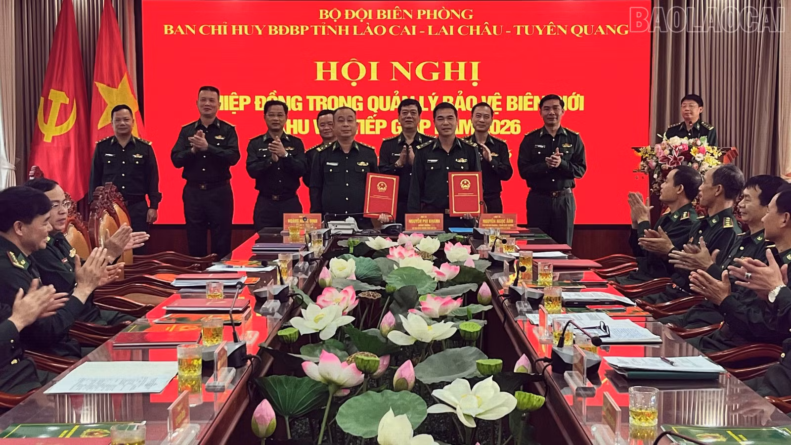baolaocai-tr_5.jpg