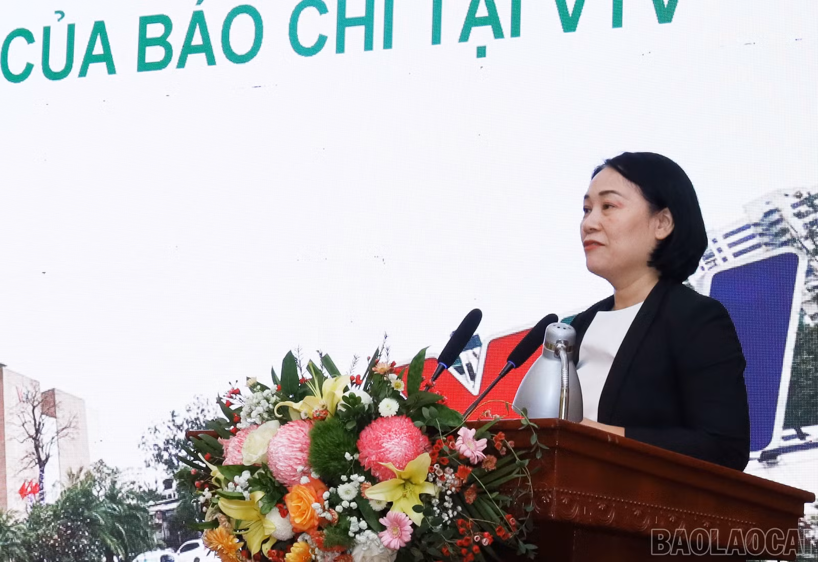 baolaocai-br_5795.jpg