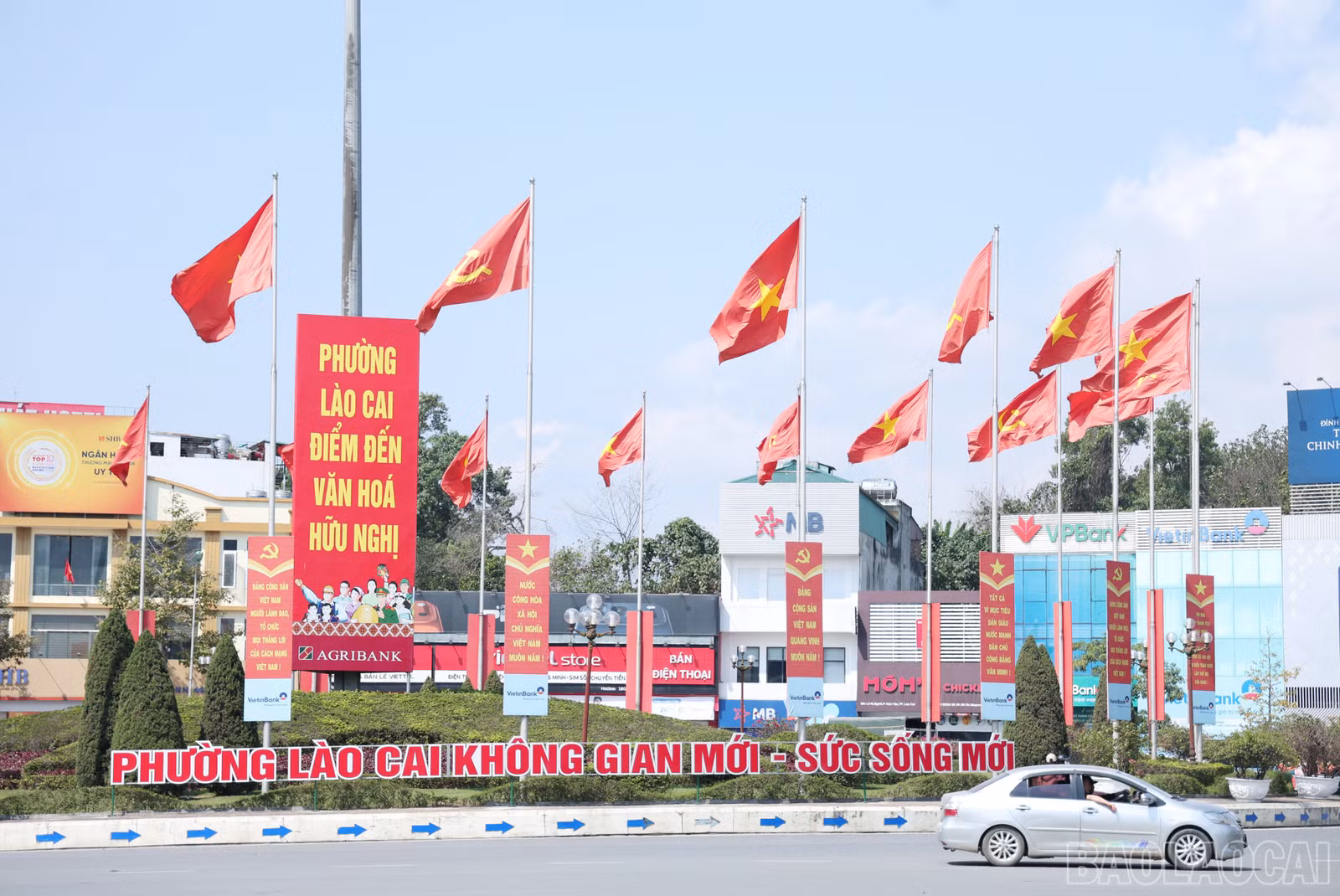 baolaocai-br_img-9886.jpg