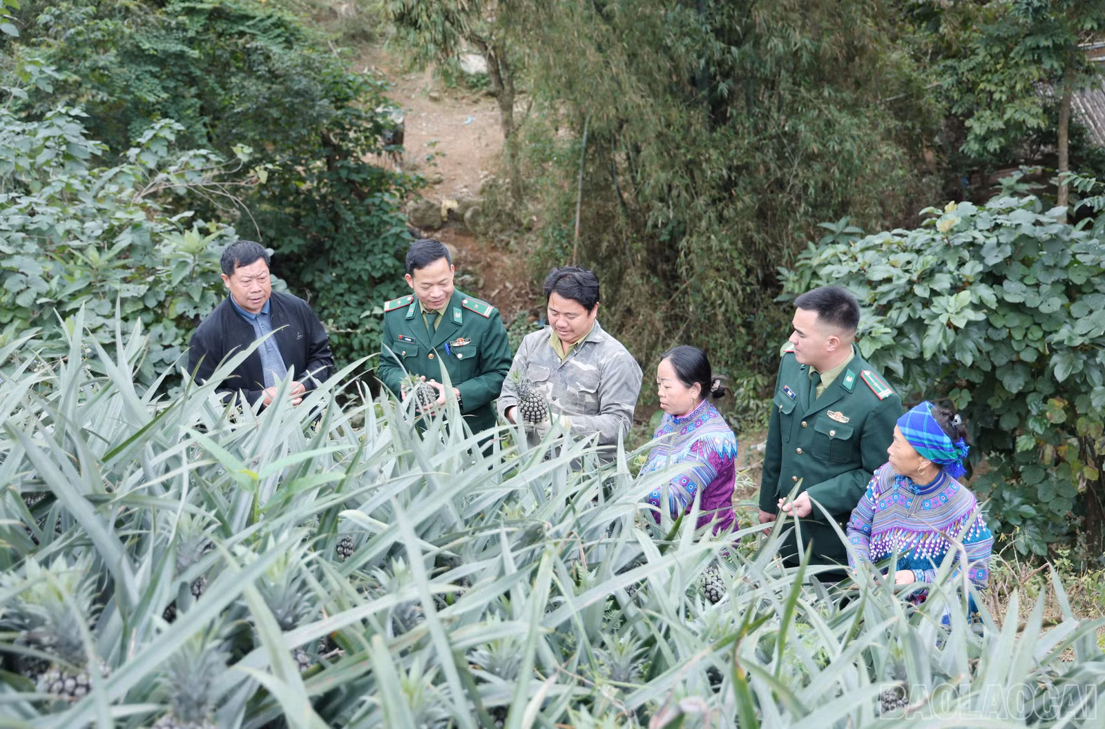 baolaocai-br_img-9414.jpg