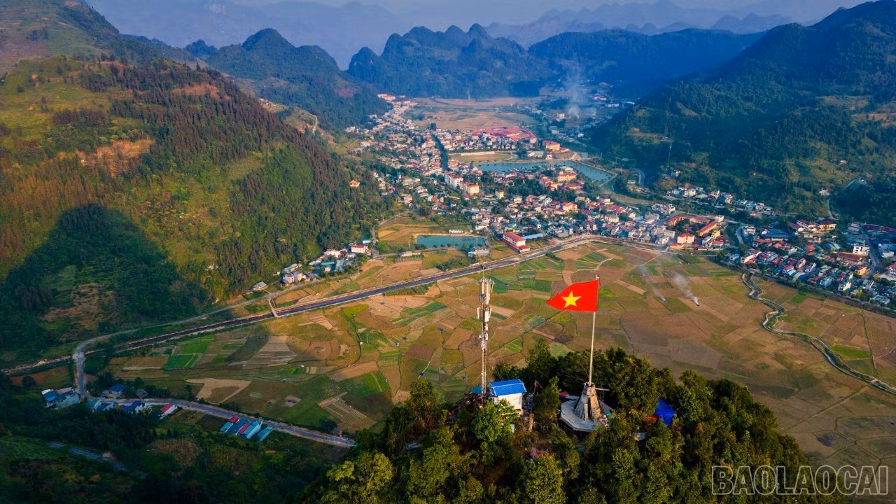 baolaocai-br_image003.jpg