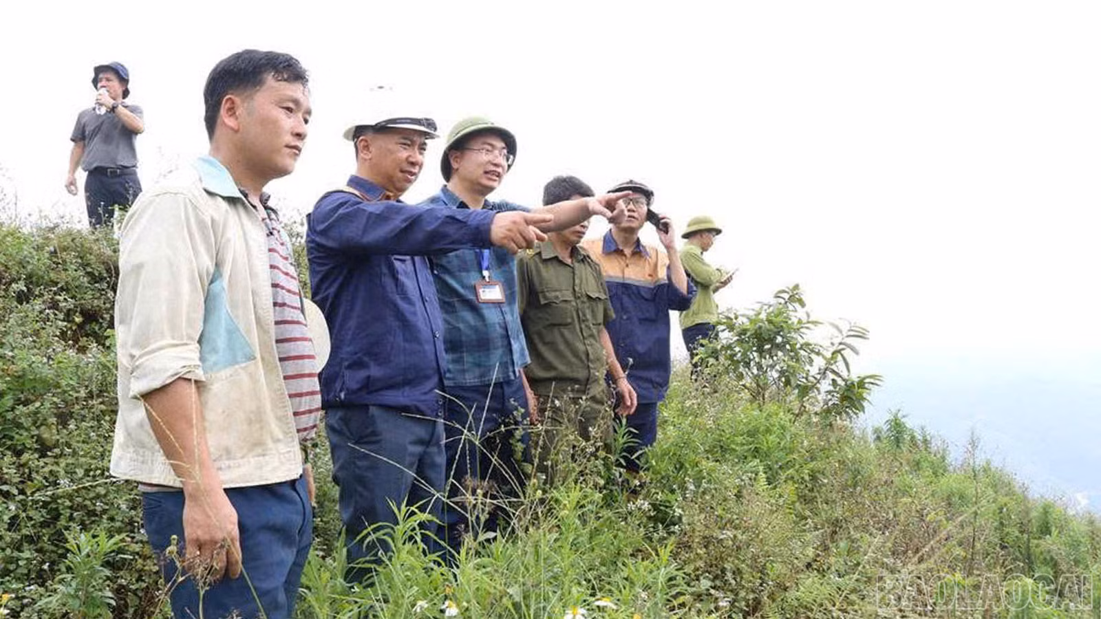 baolaocai-br_anh-8.jpg