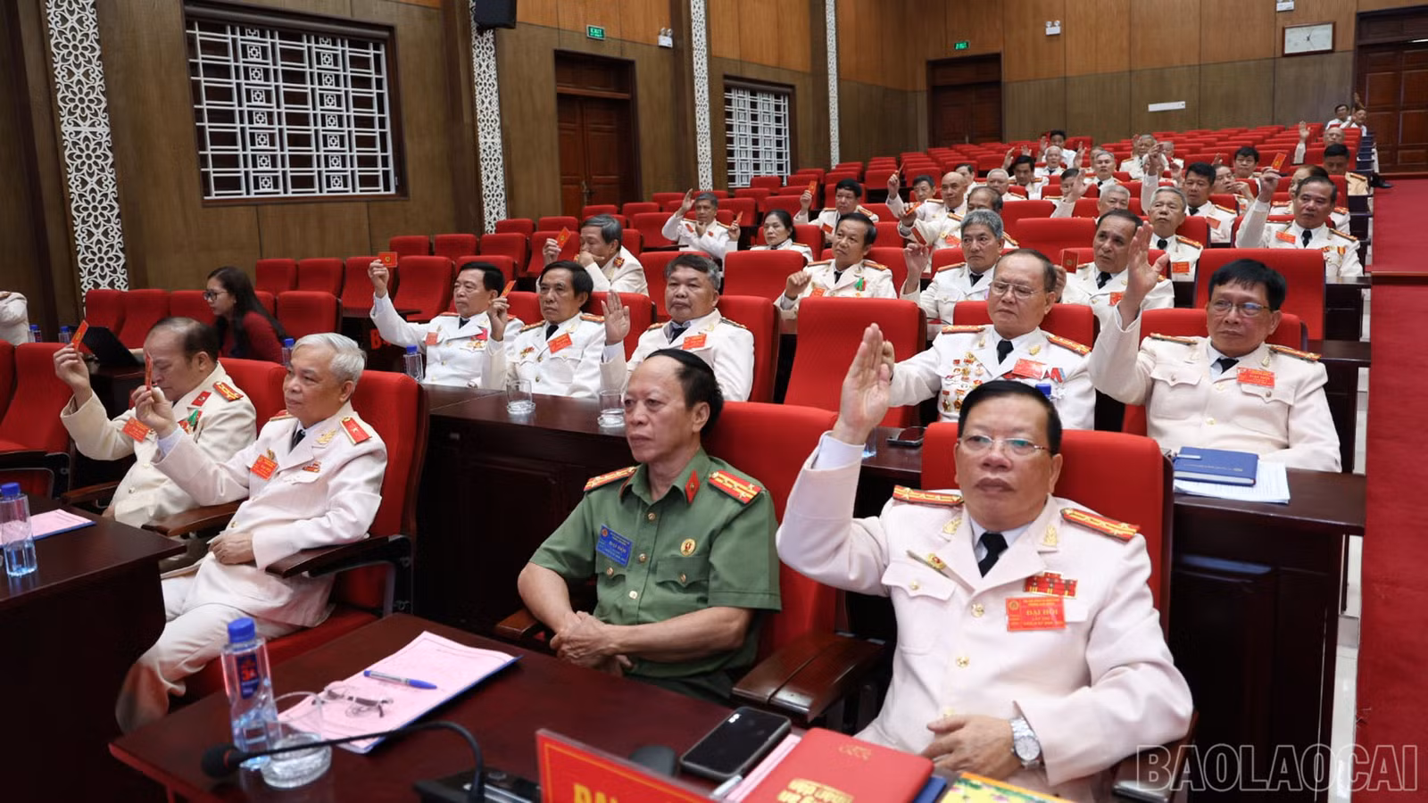 baolaocai-br_1000142220.jpg