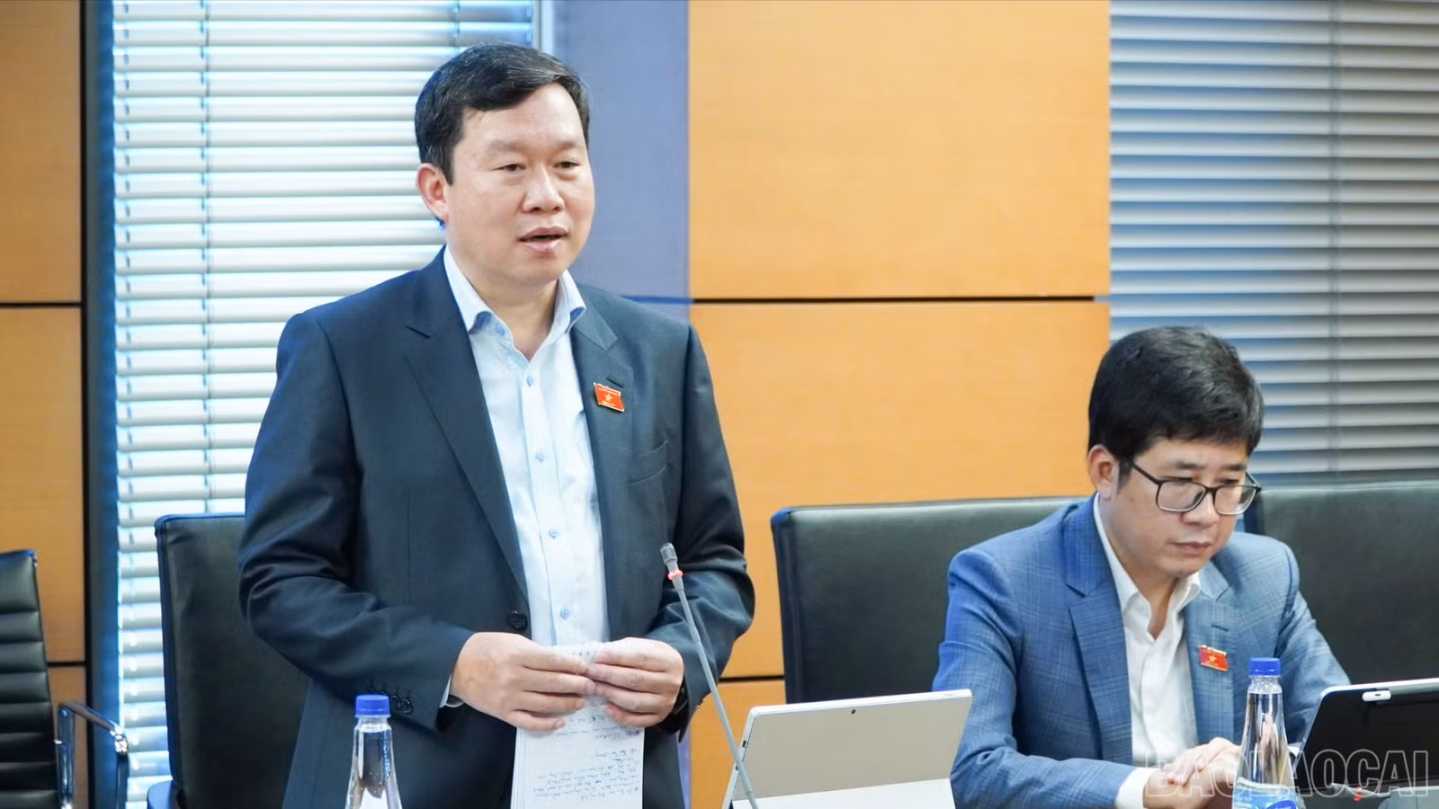 baolaocai-br_aluan-3968.jpg