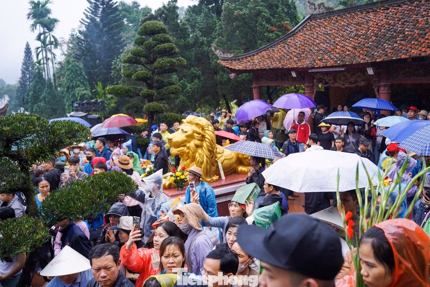 Chùa Hương đông kín khách trong ngày khai hội.