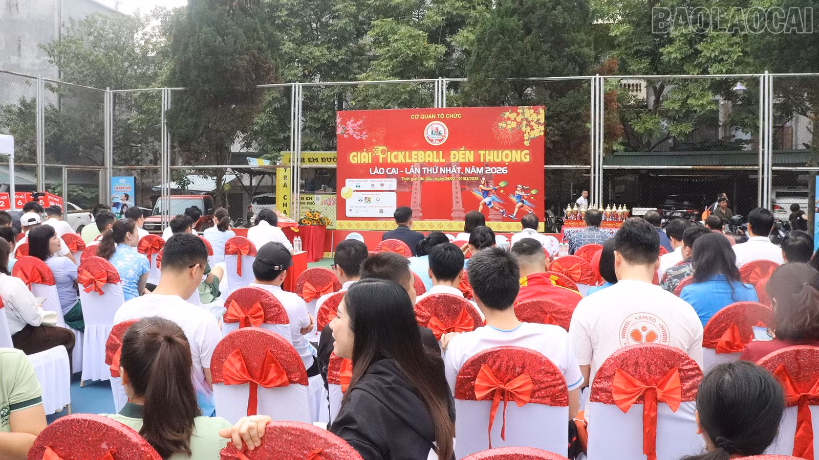 baolaocai-tr_img-3347.jpg
