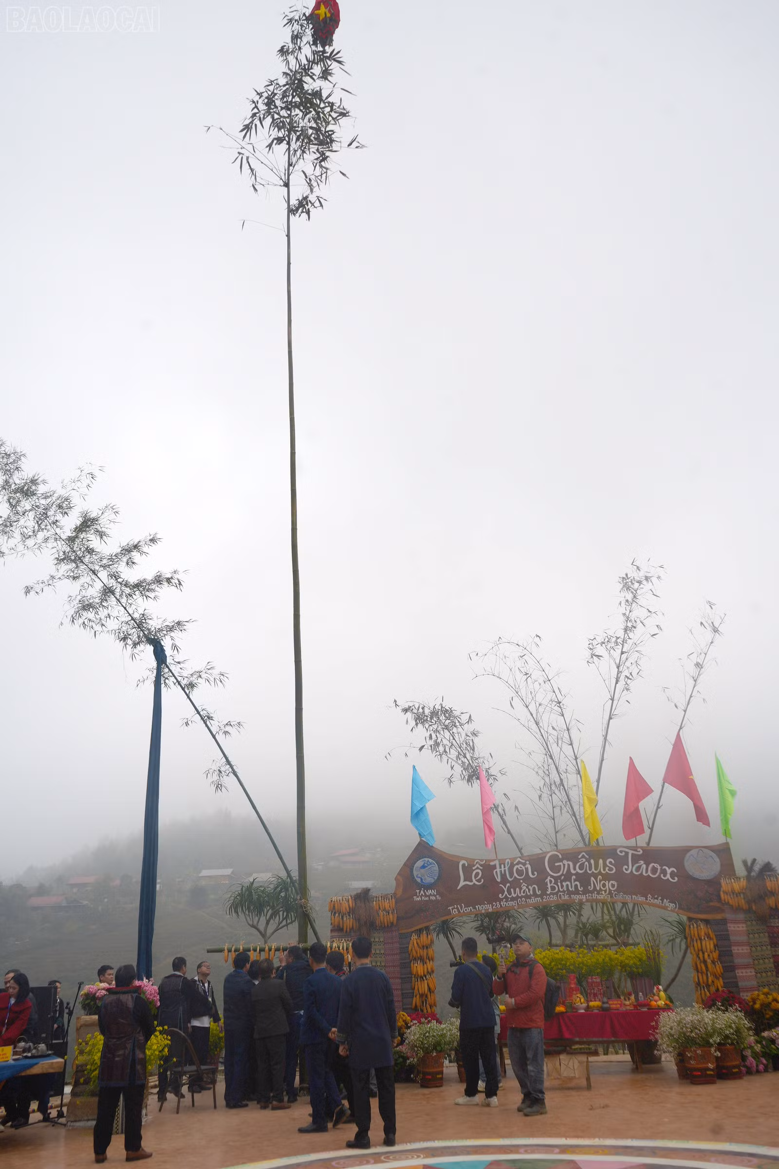 baolaocai-tl_dsc04057-2.jpg
