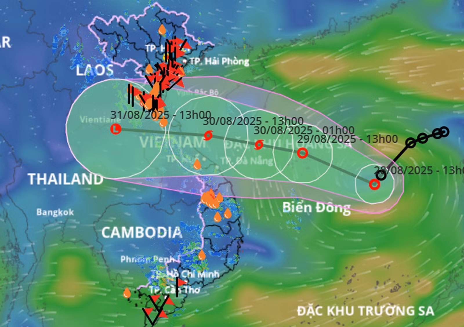 28-8-bao6.jpg